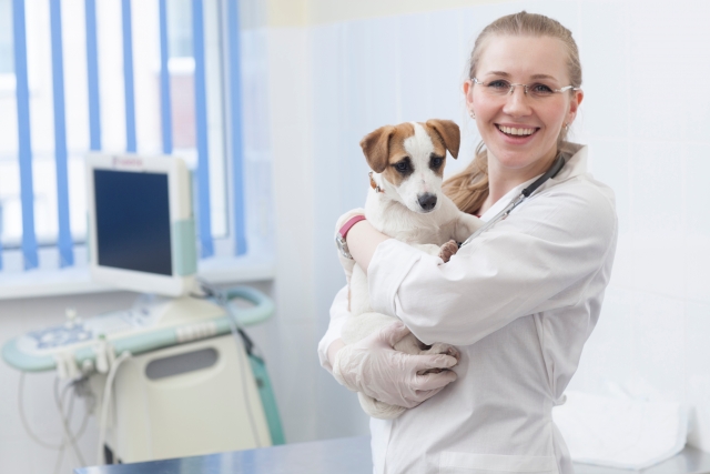 d4cb903a33cfb329f8b9fc3d65ec0648_s